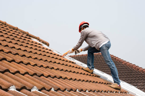 Sheet Metal Roofing in Napoleon, OH