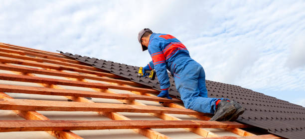 Best Skylight Installation and Repair  in Napoleon, OH