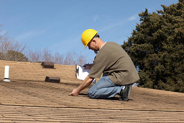 Best Storm Damage Roof Repair  in Napoleon, OH