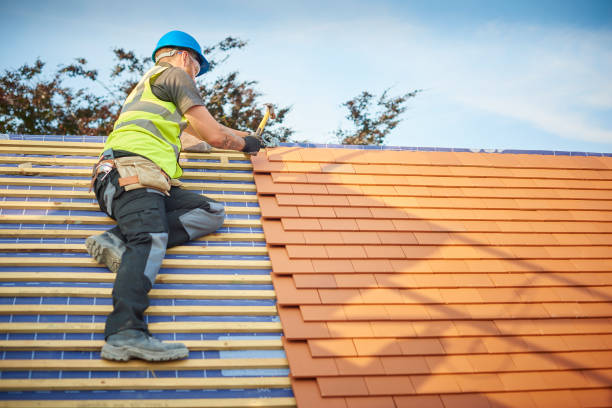 Best Roof Ventilation Installation  in Napoleon, OH